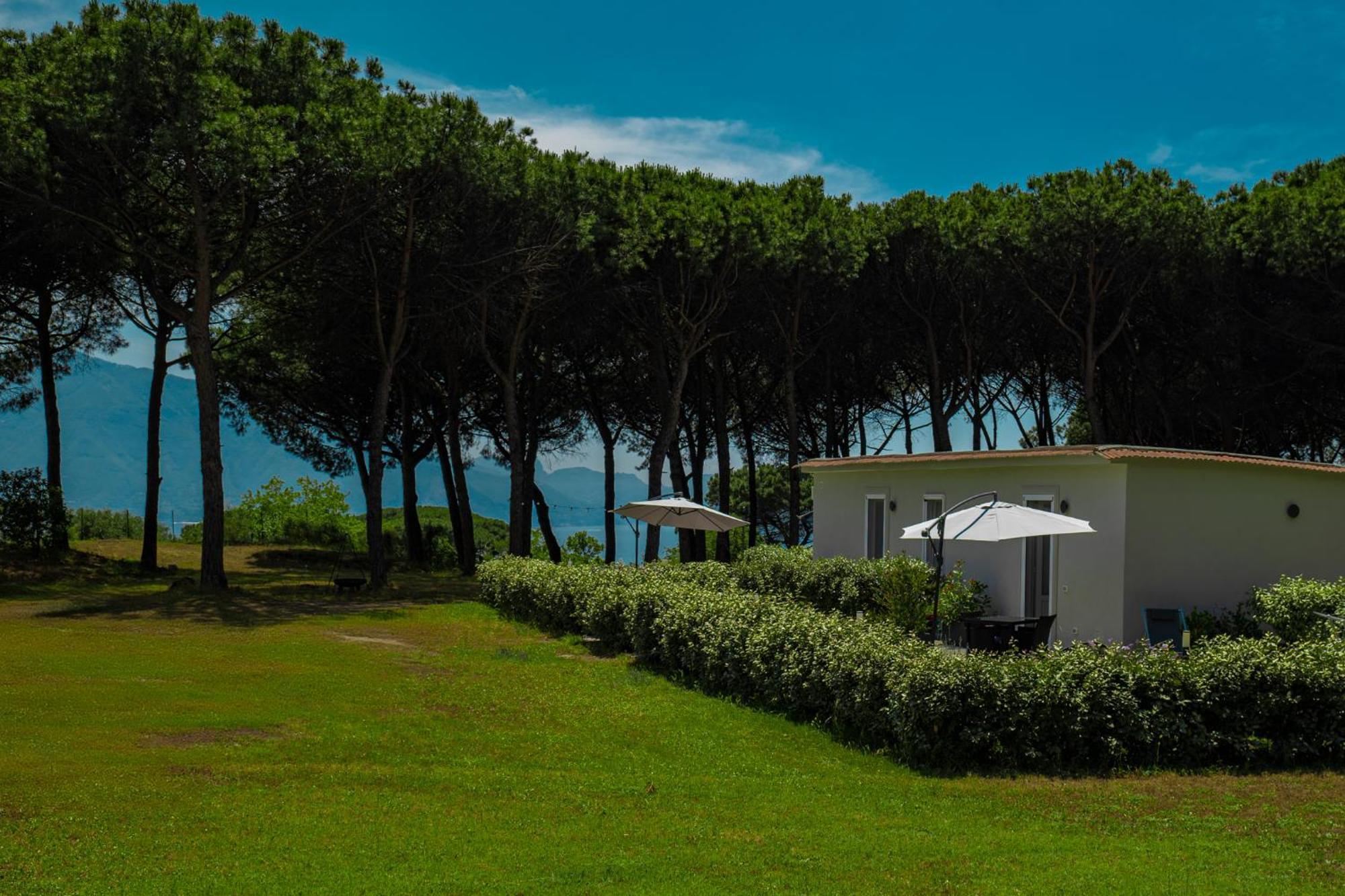 Bosco Mattavona Bed & Breakfast Boscotrecase Luaran gambar