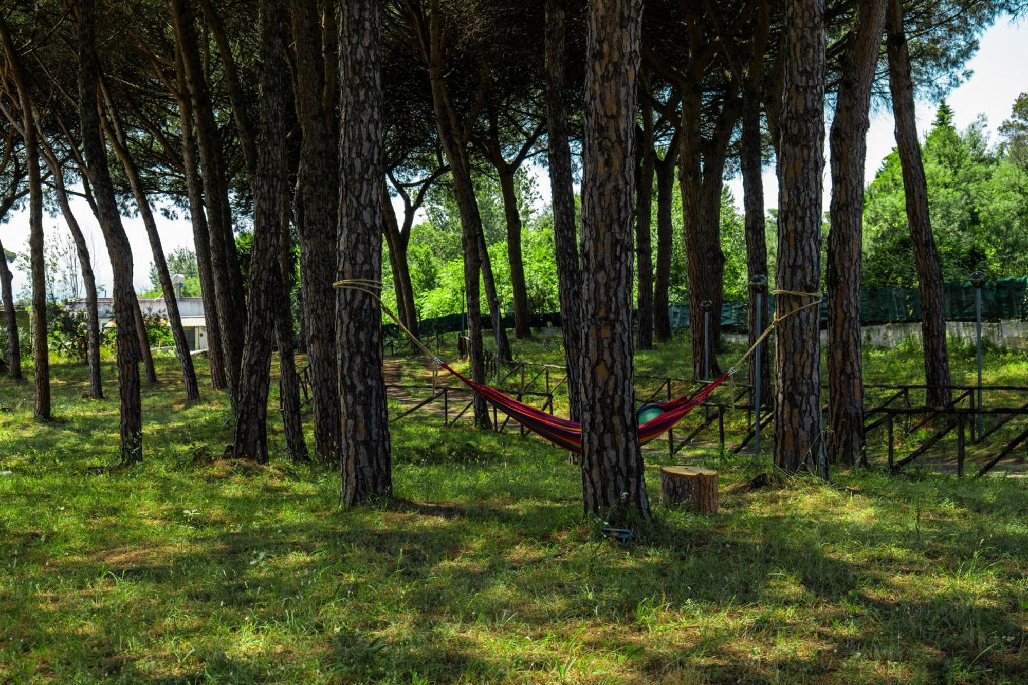 Bosco Mattavona Bed & Breakfast Boscotrecase Luaran gambar